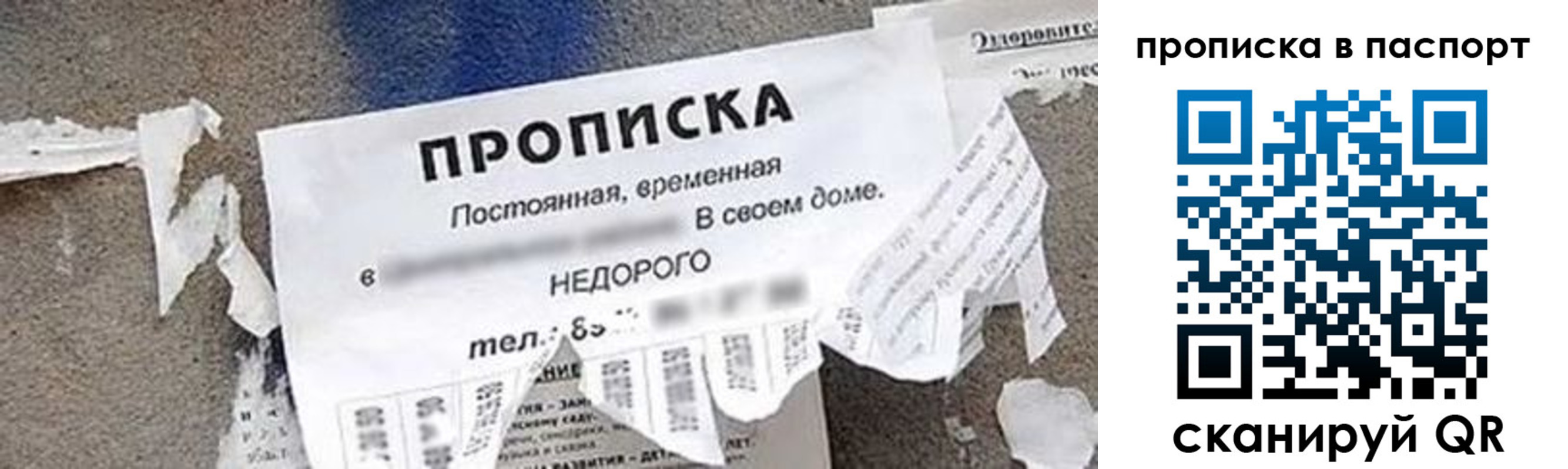 где прописаться в Большом Камне